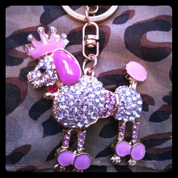 Accessories - Still available